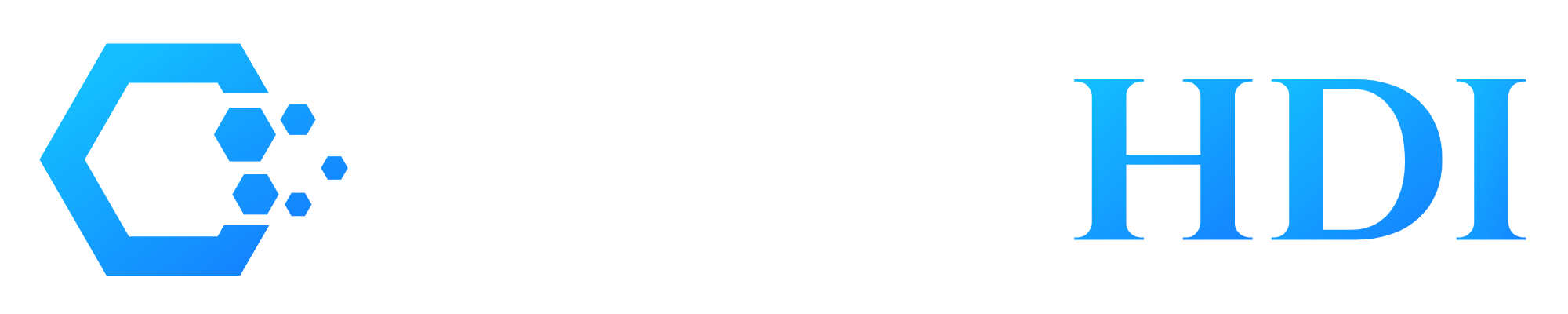FermiHDI Wordmark